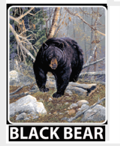 Picture of Blanket Mink Millenium 80"X96" - No BLANKET-LUX