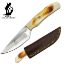 Picture of Hunting Knife 8in - SKU: BC883-BN